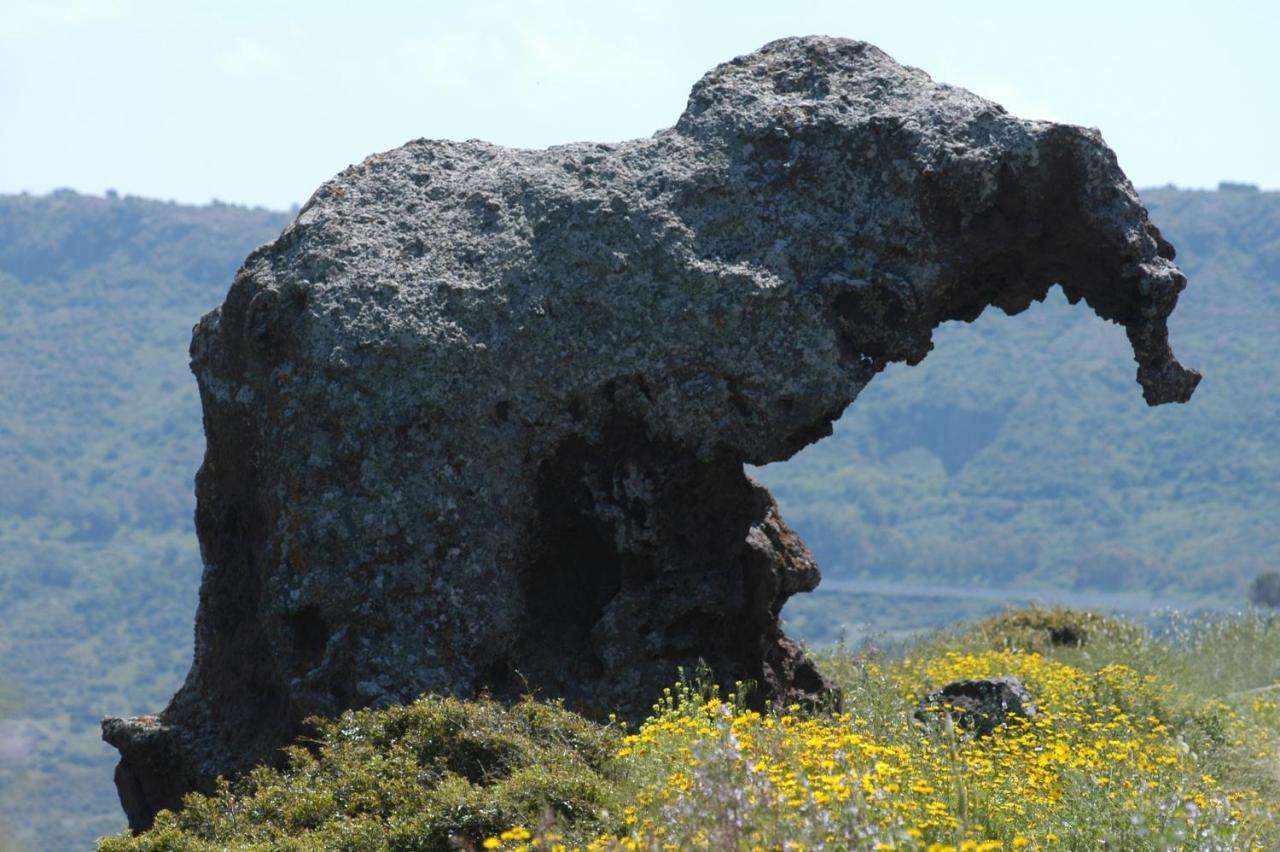 Affittacamere Likele Castelsardo Εξωτερικό φωτογραφία